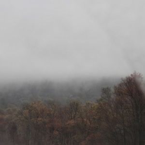 Meet your Posher, Pooja